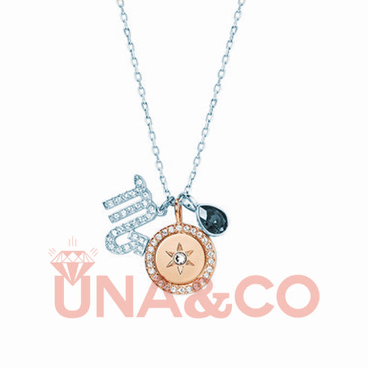 Unique Twelve Constellation Necklace